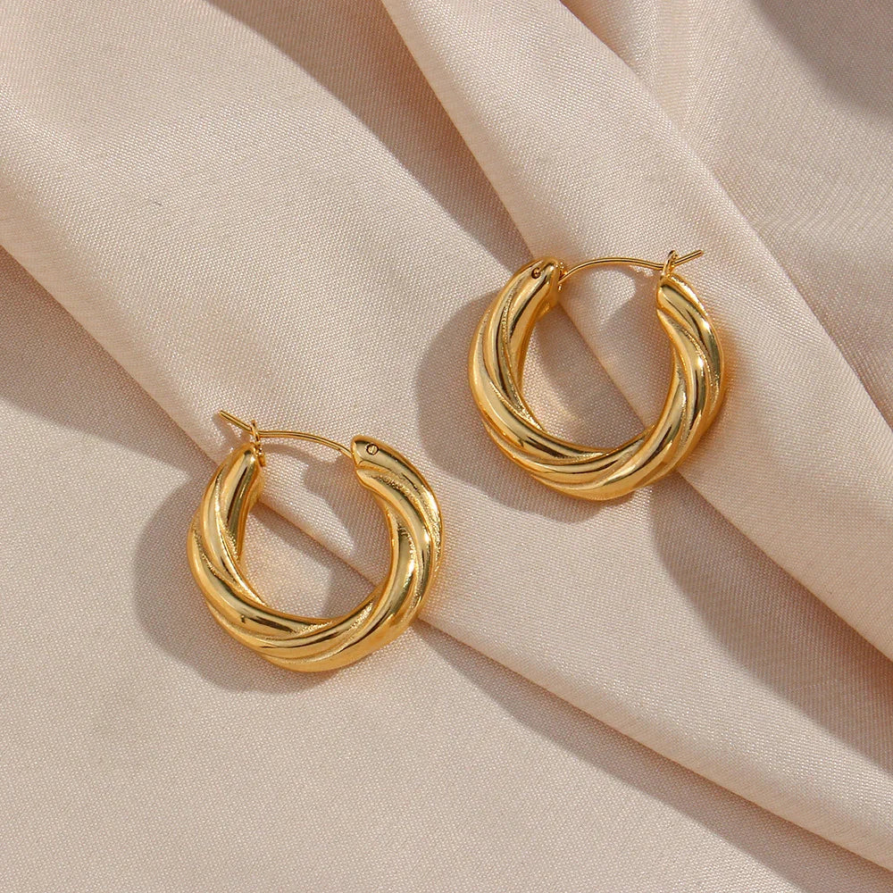 [GALE]Denisse Twisted Hoop Earrings