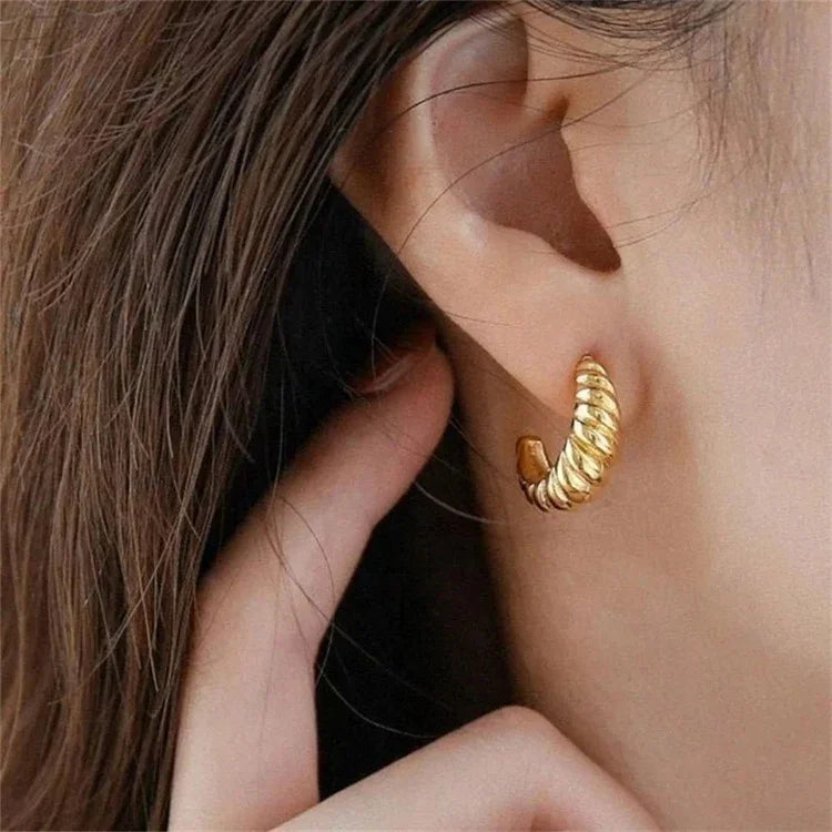 [GALE]Croissant Arc Earrings
