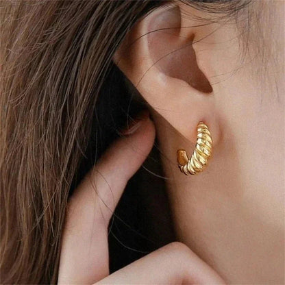 [GALE]Croissant Arc Earrings