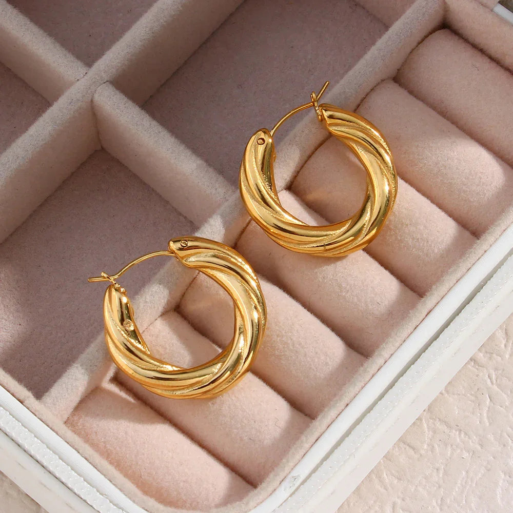 [GALE]Denisse Twisted Hoop Earrings
