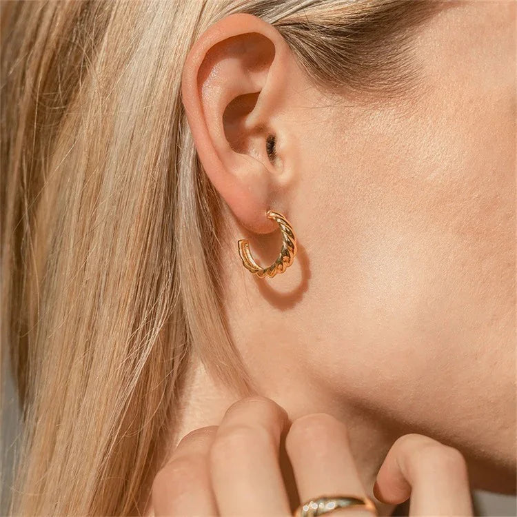 [GALE]Croissant Arc Earrings