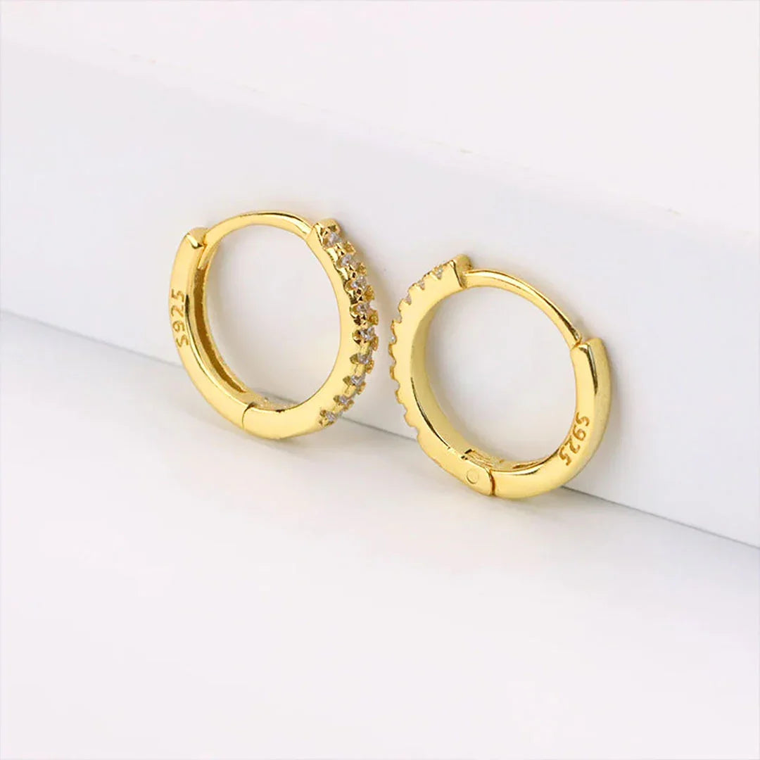 [GALE]Terra Huggie Earrings